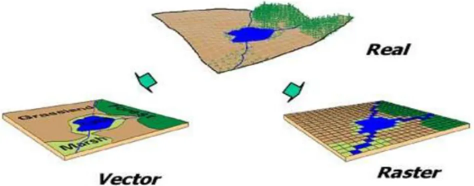 Gambar II.2. Model data raster dan model data vector 