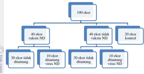 Tabel 2  Rancangan percobaan penelitian 