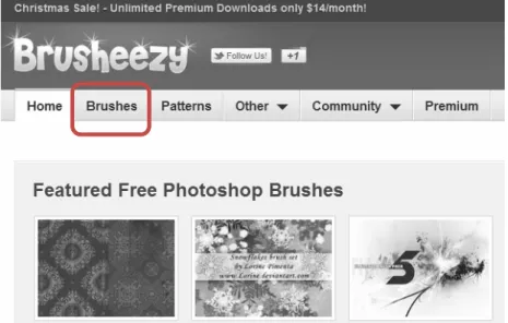 Gambar 2.2 Tombol brushes 