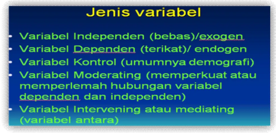 Gambar 4.5  Jenis Variabel 