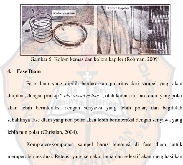 Gambar 5. Kolom kemas dan kolom kapiler (Rohman, 2009) 4. Fase Diam