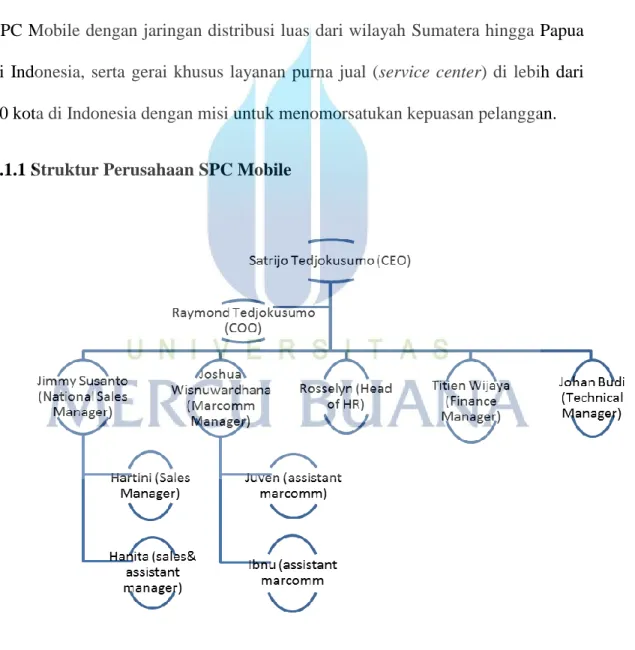 Gambar 4.1 Struktur Perusahaan SPC Mobile 