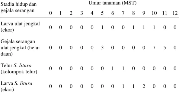Tabel 3 Stadia hidup dan gejala serangan serangga perusak daun kedelai umur 0- 0-12   MST 