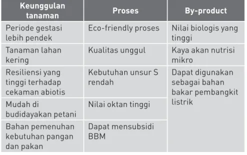 Tabel 1. Klasifikasi keunggulan sorgum sebagai tanaman,  proses dan by-product