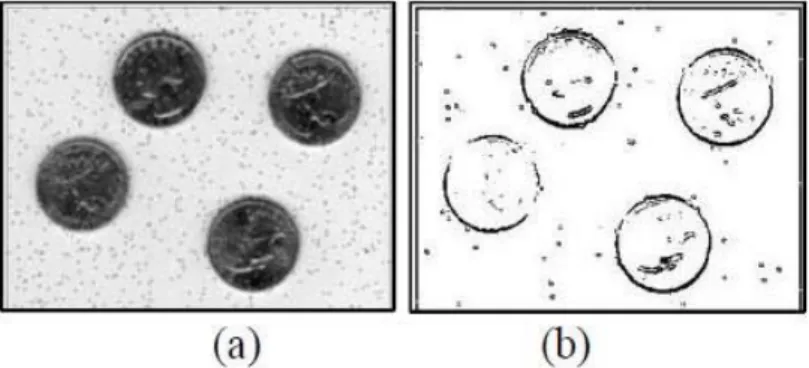 Gambar 2.9 Hasil deteksi tepi pada citra terfilter 