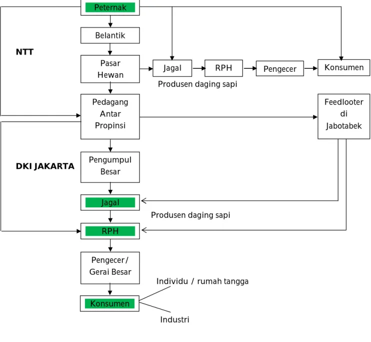 Gambar 1. Sistem dasar rantai pasok daging sapi  