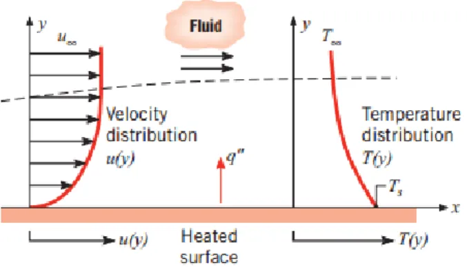 Gambar 2. 5 Pertumbuhan lapisan batas pada perpindahan panas  konveksi (Ref.1 hal 6) 