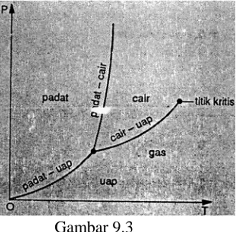 Diagram PT untuk zat murnii yang  Diagram PT untuk zat murni  yang menyusut pada waktu membeku  memuai pada waktu membeku 