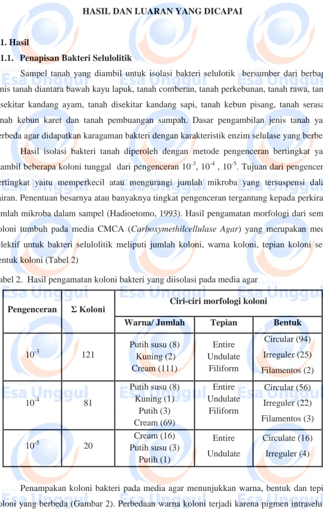 Tabel 2.  Hasil pengamatan koloni bakteri yang diisolasi pada media agar  