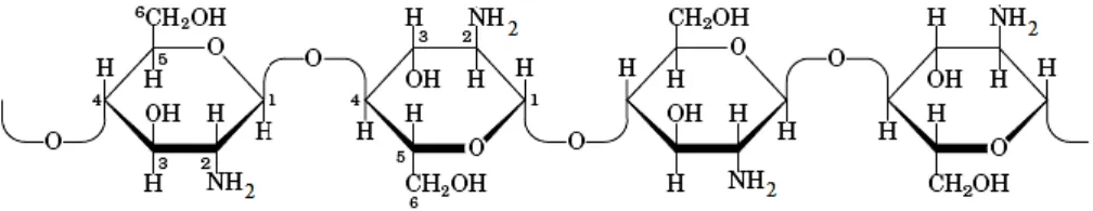 Gambar 2. Struktur kitosan (Murray et al., 2003) 