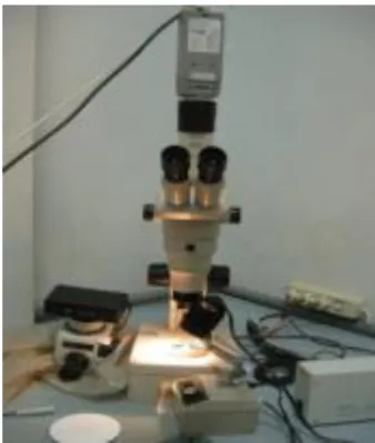 Gambar 3. Dimensi Spesimen Tarik. 