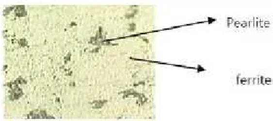 Gambar 19. Struktur mikro logam induk