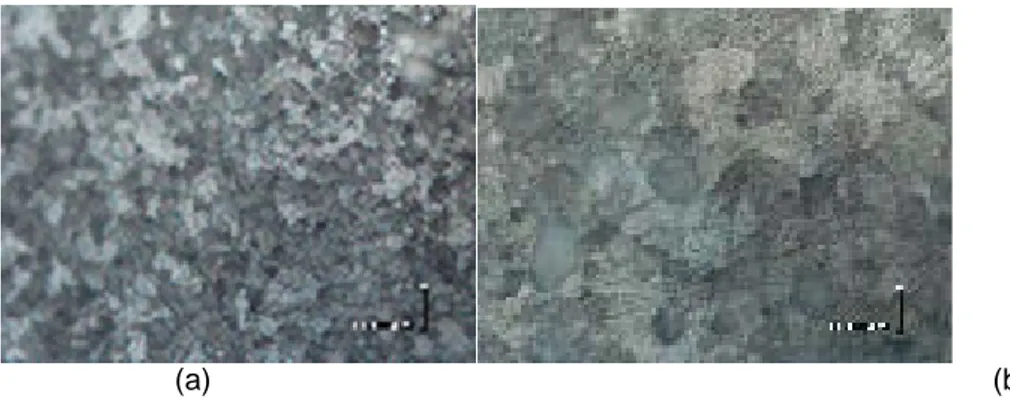 Gambar 18. Struktur mikro yang terbentuk pada  specimen 1 pada besi cor dan pipa bajakarbon  rendah  dengan perbesaran foto 100X dan 500X waktu gesekan 120 detik dan tekanan tempa 