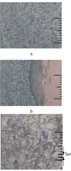 Gambar  14.  Struktur  mikro  perbesaran  mikroskop 200 X pada P f  58  MPa,  P u  97  MPa,  waktu  45  detik  