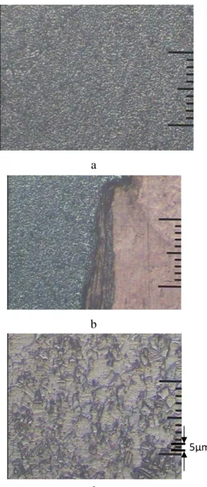 Gambar  16.  Struktur  mikro  perbesaran  mikroskop 200 X pada P f  58  MPa,  P u  97  MPa,  waktu  55  detik  a