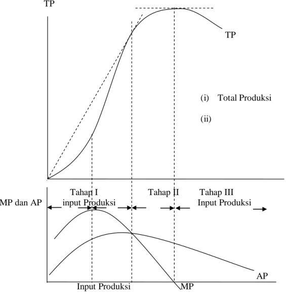 Gambar 1. Kurva Total Produksi, Produksi Rata-Rata dan Produksi  Marginal 