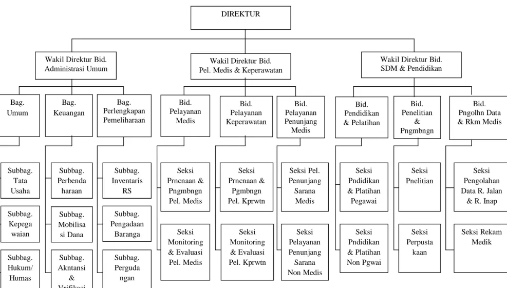 Gambar 4.1 Struktur Organisasi RSUD Dr. Pirngadi Medan 
