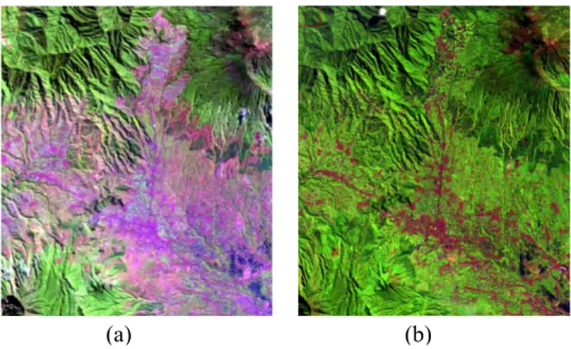 Gambar 4.4 Komposit Warna Citra: (a) Landsat 7           RGB 542 dan (b) Landsat 8 RGB 653  4.1.5