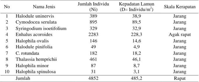 Tabel 1 Jenis dan Kepadatan Lamun di Perairan Yongsu Bo 