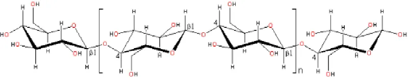 Gambar 2. Struktur Pelikel Selulosa (Brown, 1989)  