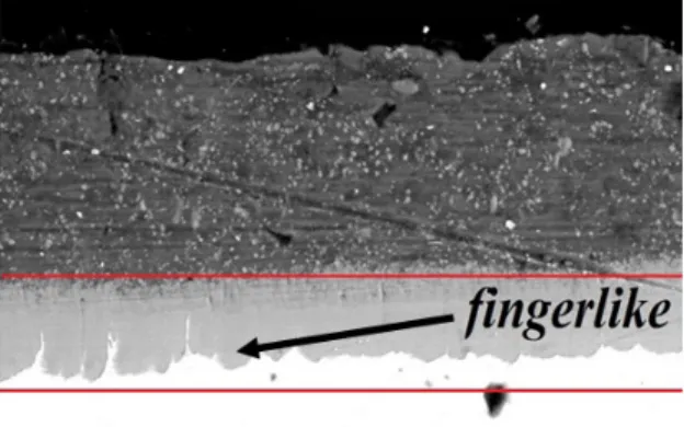 Gambar 6. Struktur mikro sampel Al murni waktu  pencelupan  3  menit  dengan  morfologi  finger-like  pada lapisan intermetalik.