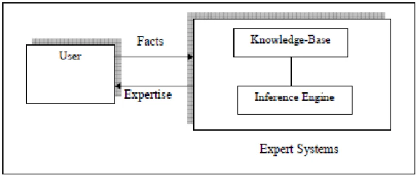 Gambar 2.2 Konsep Dasar dari Fungsi Sistem Pakar (Giarratano dan  Riley, 2005: 6) 