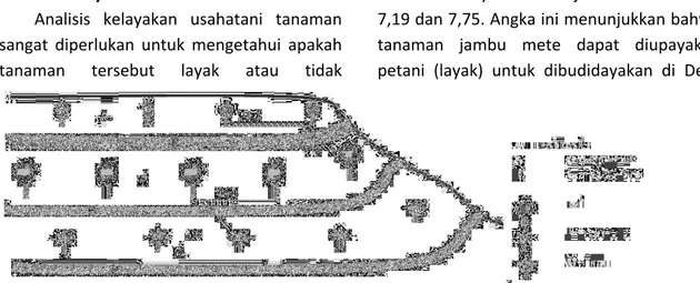 Gambar 9.  Model pola tanam C (Kombinasi Jati + Jambu mete + Melinjo + Kacang tanah +  Rumput setaria) 