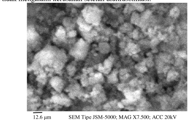 Gambar 4 Hasil pemindaian SEM nanopartikel zeolit 