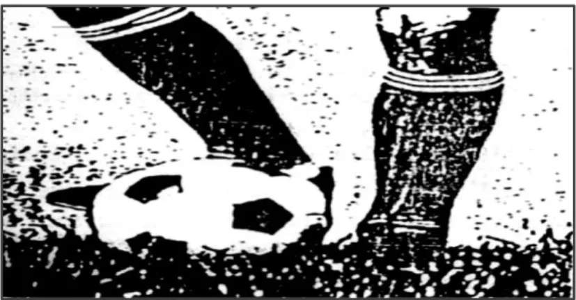 Gambar 2. Tendangan dengan kura-kura bagian  luar  (A.Sarumpaet, dkk. 1992: 21) 