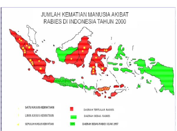 Tabel 4   Kasus kematian manusia akibat rabies di Indonesia tahun 1990-2000. 