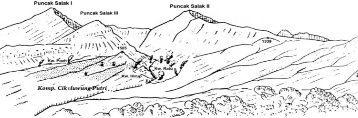 Gambar 3. Sketsa Gunung Salak dilihat dari sisi barat. Tampak Komplek Cikuluwung Putri yang berada di lembah  antara Puncak Salak I dan Puncak Salak II
