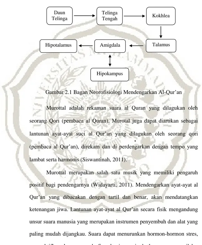 Gambar 2.1 Bagan Neorofisiologi Mendengarkan Al-Qur‟an  Murottal  adalah  rekaman  suara  al  Quran  yang  dilagukan  oleh  seorang  Qori  (pembaca  al  Quran)