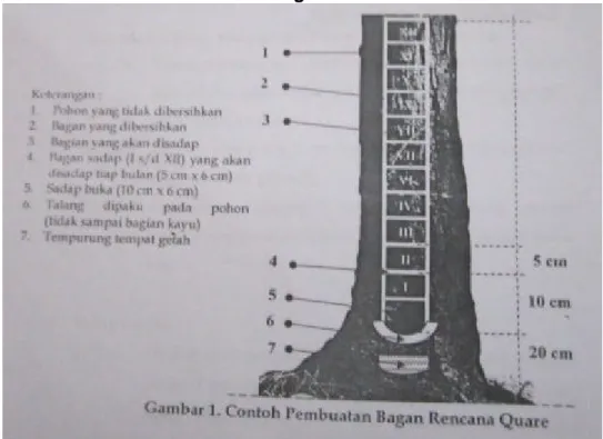 Gambar 1. Contoh Pembuatan Bagan Rencana Quare 