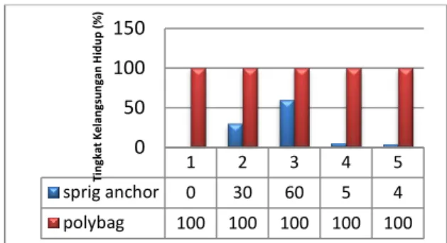 Tabel  4.Uji  Post  Hoc  Duncan  laju                     pertumbuhan lamun Syringodium                     isoetifolium dengan metode Sprig                     anchor  Tegakan  N  Subset  1  2  Duncan a Tegakan 2  5   .1800  Tegakan 3  5   .2000  Tegakan 