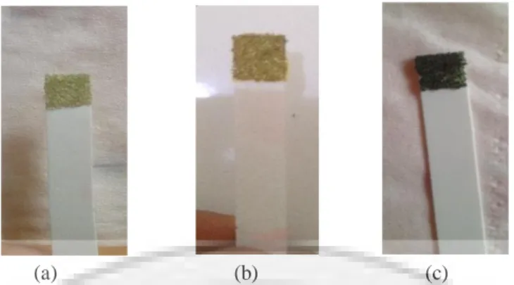 Gambar 8. Pengujian Organoleptik Kemasan Plastik Polietilen pada Hari ke-12, (A)  Warna Sebelum Direaksikan (B) Warna Sesudah Direaksikan dengan Formalin (C) 