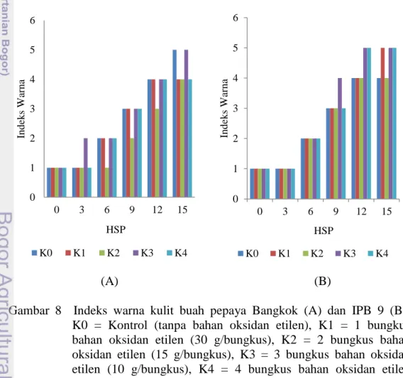 Gambar  8    Indeks  warna  kulit  buah  pepaya  Bangkok  (A)  dan  IPB  9  (B);       