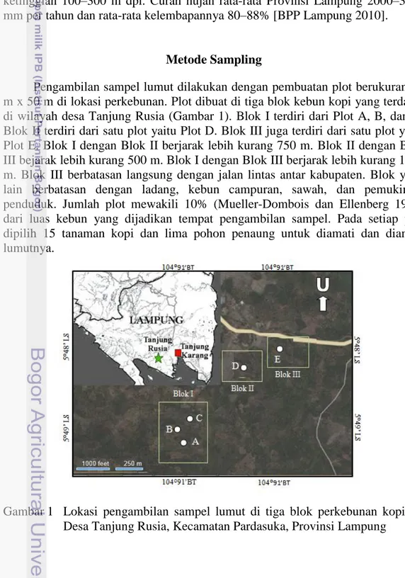Gambar 1   Lokasi  pengambilan  sampel  lumut  di  tiga  blok  perkebunan  kopi  di    Desa Tanjung Rusia, Kecamatan Pardasuka, Provinsi Lampung 