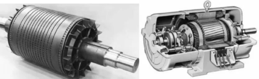 Gambar 2.10a. Rotor Motor Induksi Jenis Cage  Gambar 2.11b.. Rotor Motor Induksi Jenis Wound [11] 