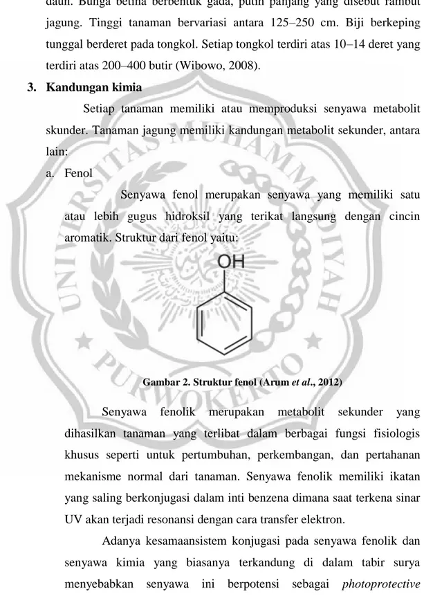 Gambar 2. Struktur fenol (Arum et al., 2012) 