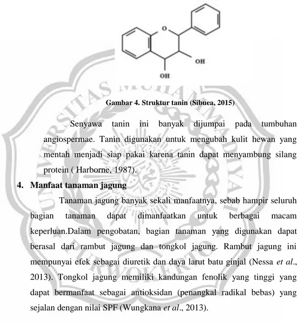 Gambar 4. Struktur tanin (Sibuea, 2015) 