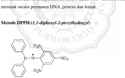 Gambar 2.2. Struktur DPPH (Kurniawan, 2011). 