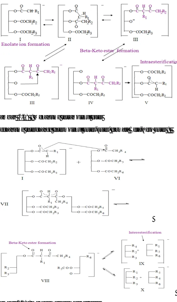 Gambar  2.18  : Mekanisme intramolekul ester 