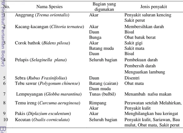 Tabel 5  Daftar beberapa spesies tumbuhan berguna sebagai obat 