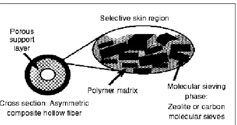 Gambar 2.8 Modul membran Plate and frame (Coulson and Richardson, 2002) 