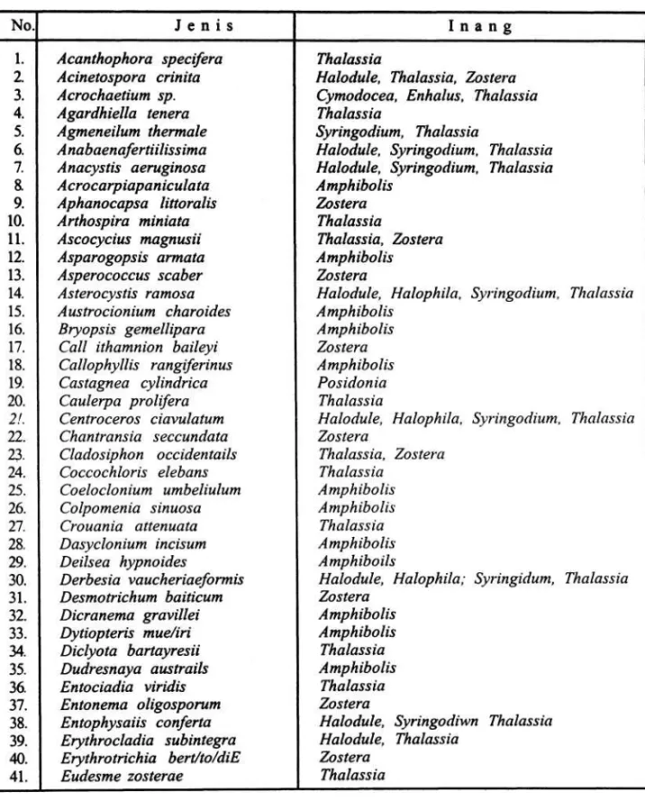 Tabel 1. Epifit makroalgae pada lamun (HARLIN 1980). 