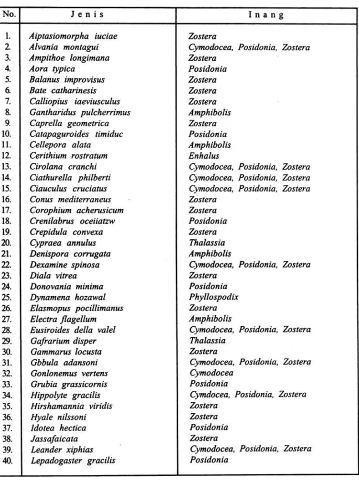 Tabel 3. Epifit avertebrata pada lamun (HARLEN 1980) 