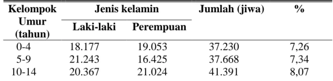 Tabel  8.  Penduduk  Kota  Surakarta  Menurut  Kelompok  Umur  dan  Jenis  Kelamin Tahun 2006 