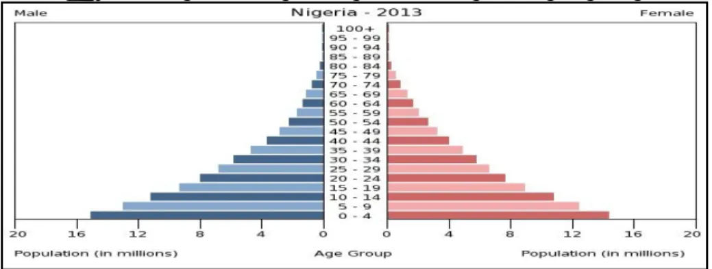 Gambar 1.Demografi Penduduk Nigeria berdasarkan Gender dan Usia 