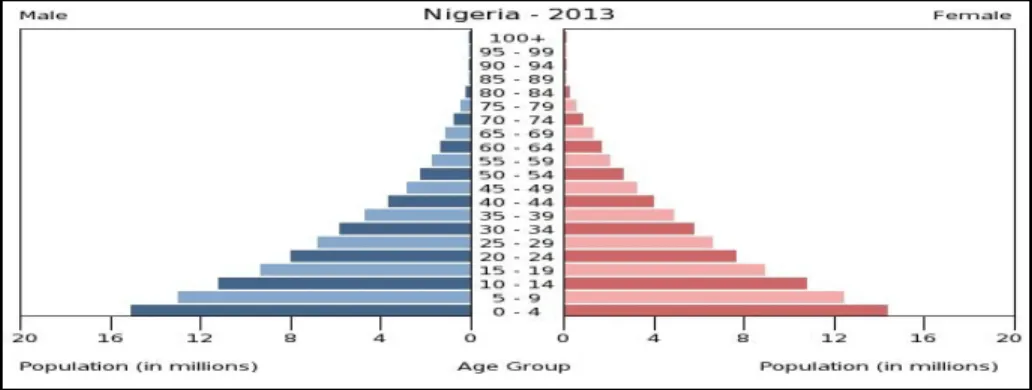 Gambar 2.Demografi Penduduk Nigeria berdasarkan Gender dan Usia 