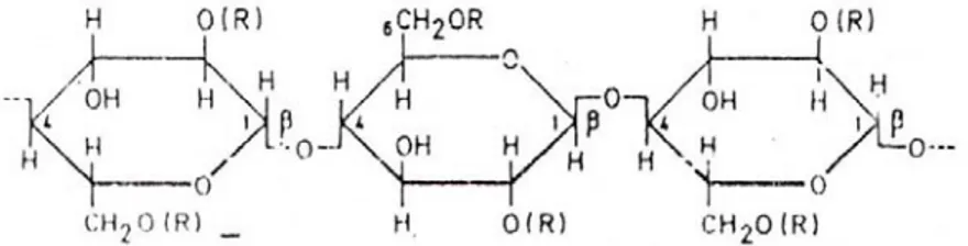 Gambar 4. Struktur Natrium Karboksimetilselulosa (Rowe, dkk., 2006)  d.  Avicel PH-102 